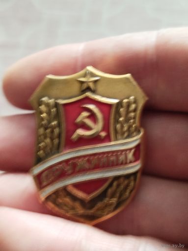 Дружинник