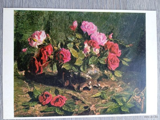 Малютина. Розы