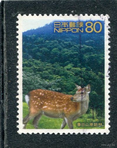 Япония. Фауна, горы, лес