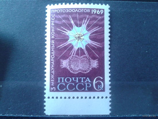 1969 Радиолярия**