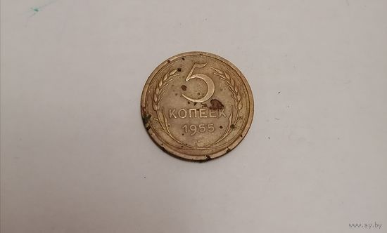 5 копеек СССР 1955г.