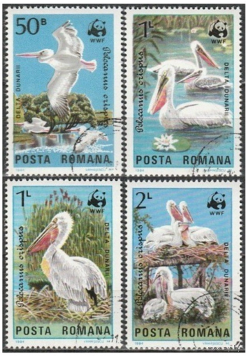 Румыния 1984, Пеликаны, ПТИЦЫ, ФАУНА