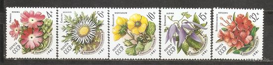 АК СССР 1981 Цветы