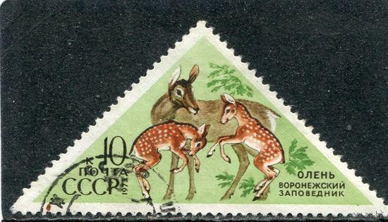 СССР 1973.. Заповедник. Олень