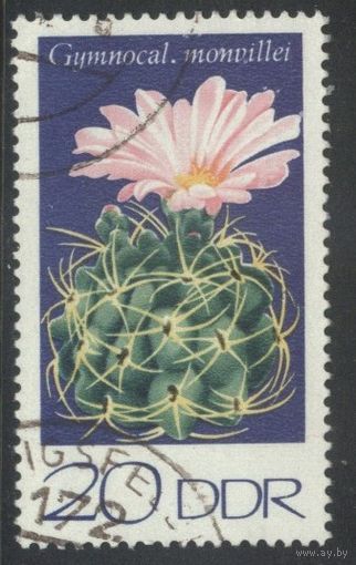 ГЕРМАНИЯ, ГДР - 1974 [Mi. 1925] Гашеная (DDR07)