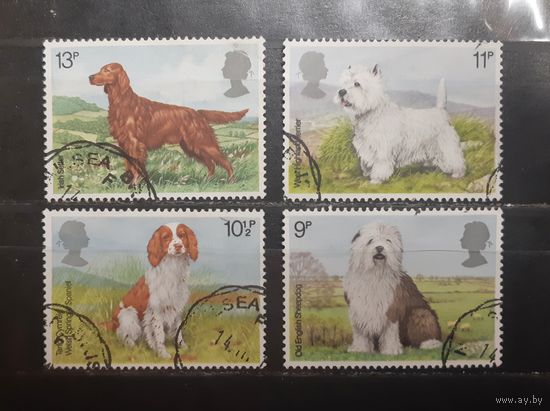 Великобритания. 1979 год. Фауна. Собаки (808)