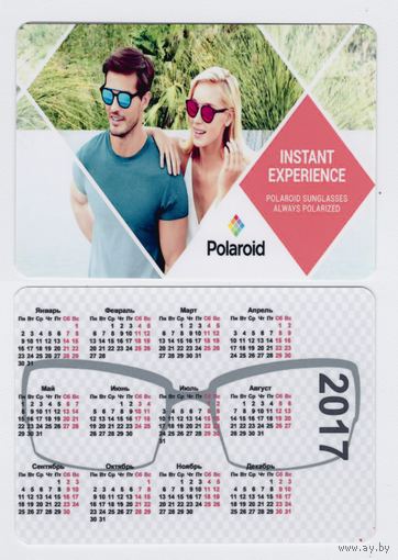 Календарь Стекла POLAROID 2017