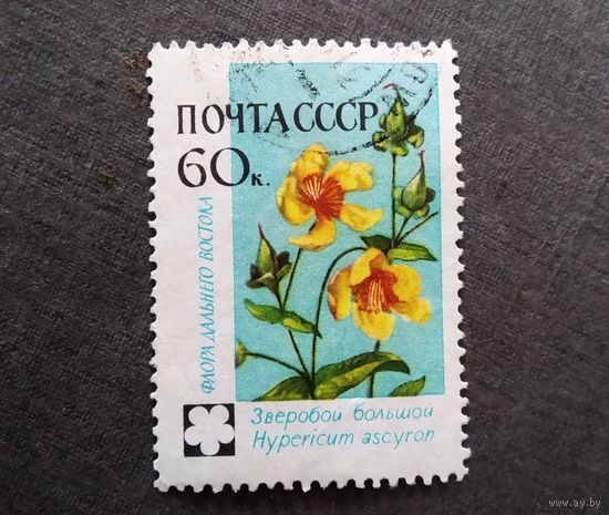 Марка СССР 1960 год Флора СССР