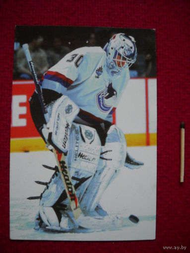 Карточка НХЛ "NHl" Garth Snow. St. Vancouver Canucks. Panini.