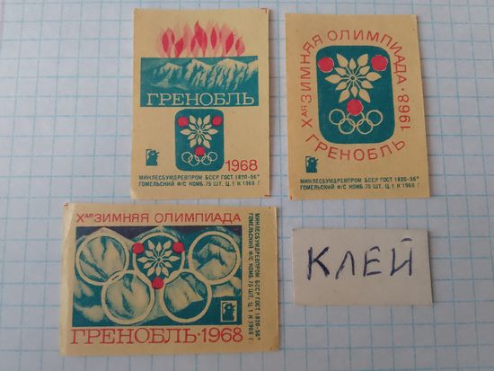 Спичечные этикетки ф.Гомель. 10-ая зимняя олимпиада.Гренобль.1968 год