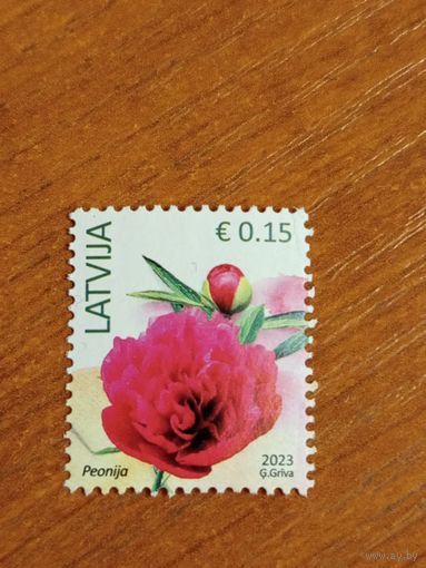 2023 Латвия флора цветы (5-8)