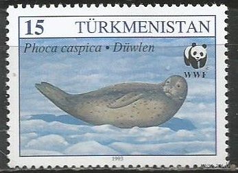 Туркменистан. Каспийская нерпа. 1993г. Mi#30.