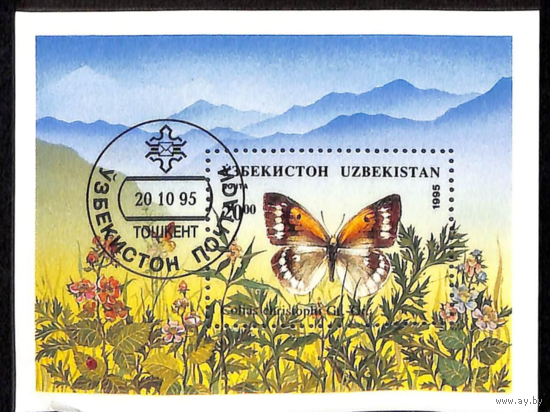 Бабочки и мотыльки Узбекистан 1995 год