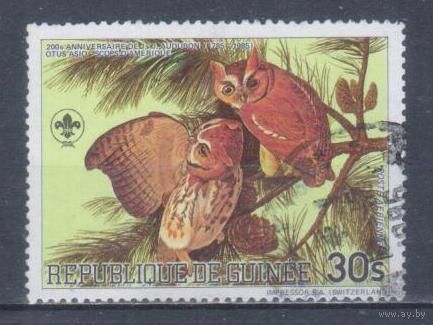 [277] Гвинея 1985. Фауна.Птицы.Совы. Гашеная марка.