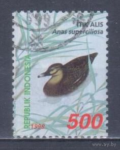 [737] Индонезия 1998. Фауна.Птицы.Утки.500р. Гашеная марка.