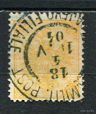 Босния и Герцеговина (Австро-венгерская администрация) - 1900 - Герб 3H - [Mi.12A] - 1 марка. Гашеная.  (Лот 26HS)-TG3P11