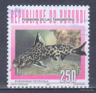 [634] Бурунди 1996. Фауна.Рыбы. Концовка серии.Гашеная марка.