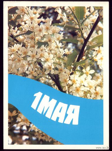 1989 год В.Жаворонков 1 мая чист