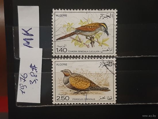 АЛЖИР 1976г. Гаш.