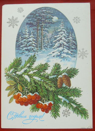 С новым годом! Чистая. 1986 года. Куртенко. 1652.