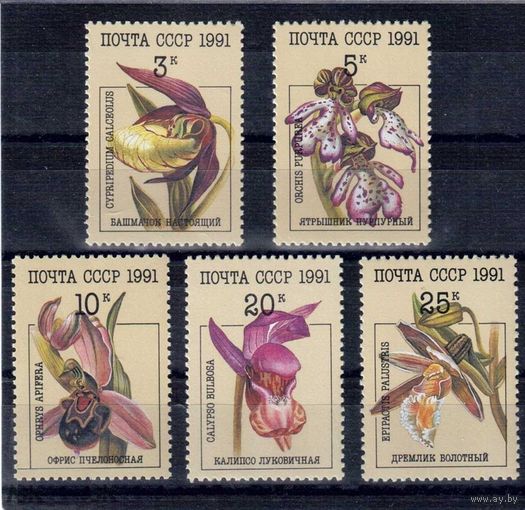 СССР. 1991. Флора. Цветы. Орхидеи. **