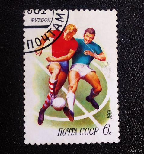 Марка СССР 1981 год  Спорт в СССР