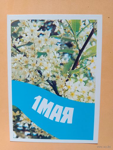 Открытка 1990 чистая