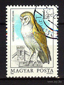 1984 Венгрия. Сова