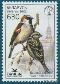 2003. 501. Домовый воробей (птица года)**