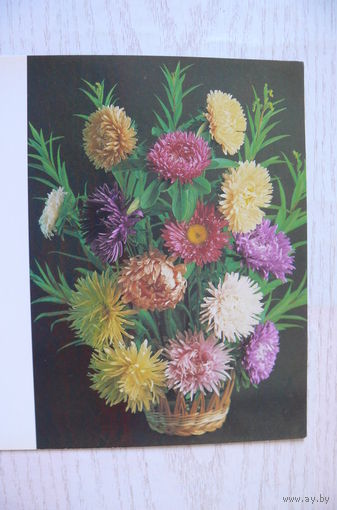 Костенко П., Букет из астр; 1992, двойная, чистая.