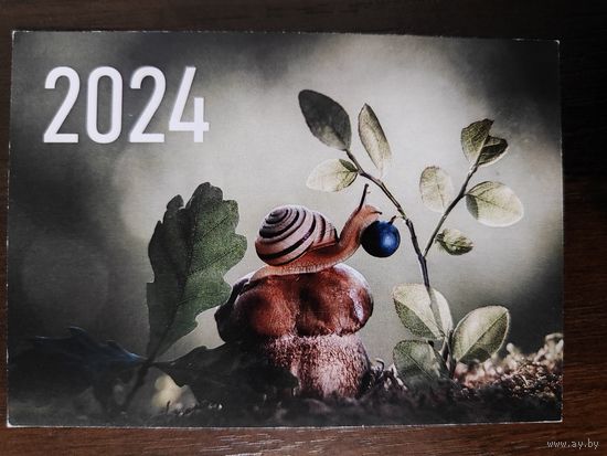 Календарик Улитка