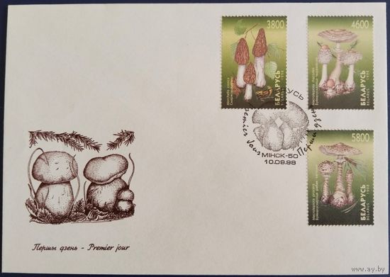 КПД. Грибы. 1999 г.