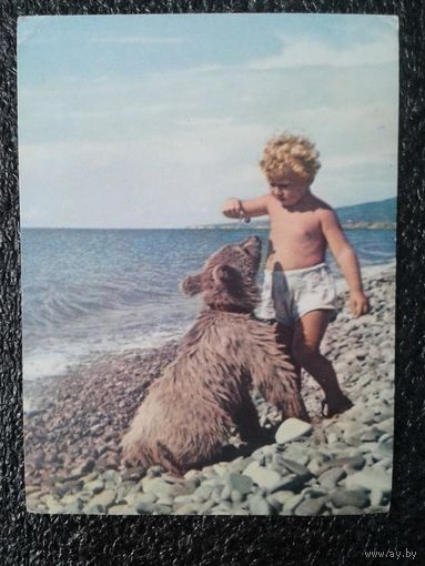 Мазелев Р. Укротитель. Дети. 1965