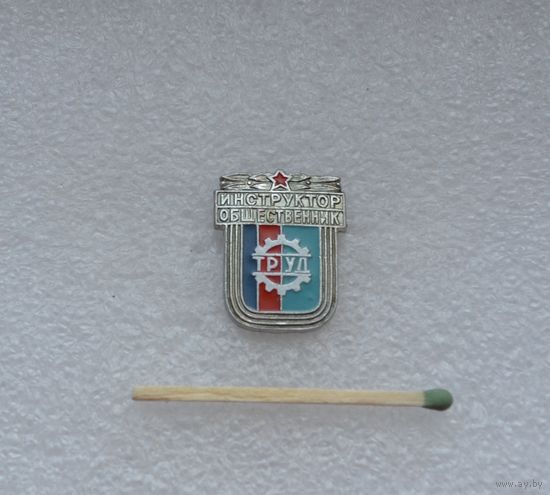 Инструктор общественник ДСО "Труд".