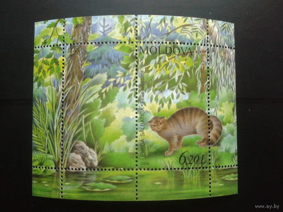Молдова 2006 Дикий кот** Блок Михель-5,5 евро