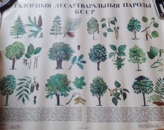 Плакаты БССР в коллекцию или для декора