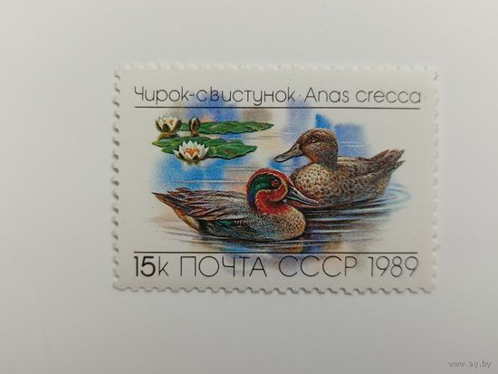1989 СССР. Утки. Пеганка