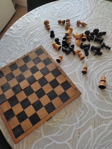 Шахматы