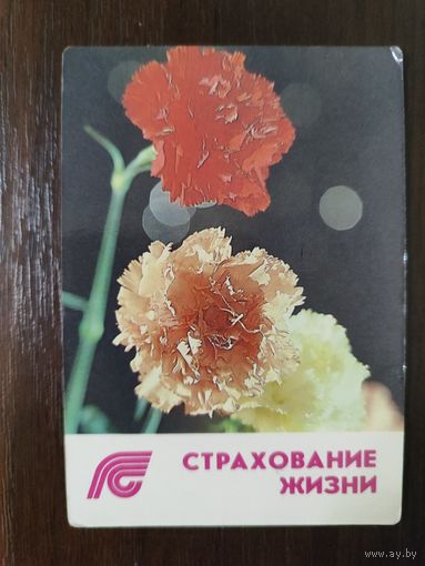 Календарик страхование