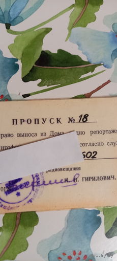 Пропуск