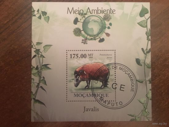 Мозамбик 2010. Кистеухая свинья (блок)