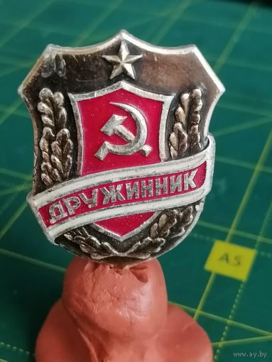 Значёк дружинник