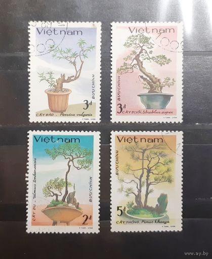 Вьетнам. Флора. Икебана (268)