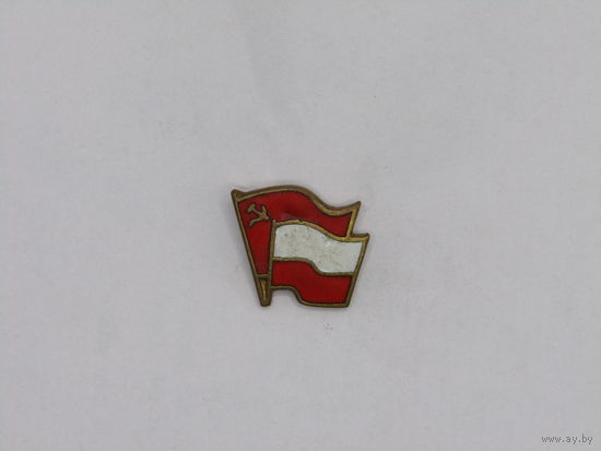 Знак. Значок. "Содружество". Великая отечественная война. Южная группа войск. Армия стран Варшавского договора. Польша. м