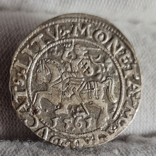 Полугрош 1/2 гроша 1561 года, Сигизмунд II, м.д. Вильно, Литва, СОХРАН!