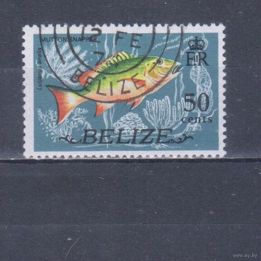 [2087] Белиз 1974. Фауна.Рыба.50с. Гашеная марка.