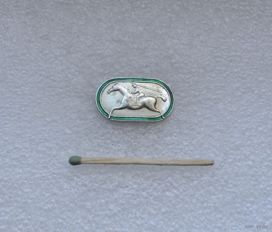 Конный спорт.