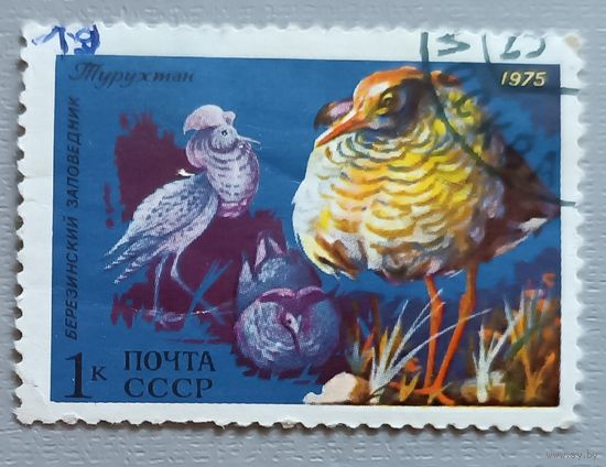 Фауна. СССР, 1975
