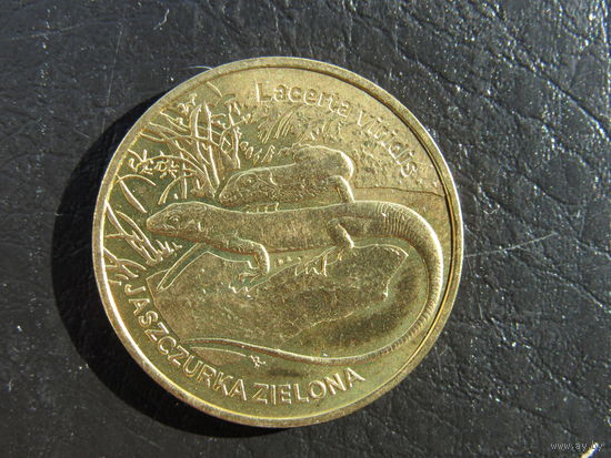 Польша. 2 злотых, 2009 Зелёная ящерица. С 20 копеек. Распродажа коллекции. Смотрите другие лоты.