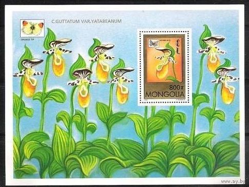 1997 Монголия 2712/B270 Орхидеи / бабочки 6,00 евро